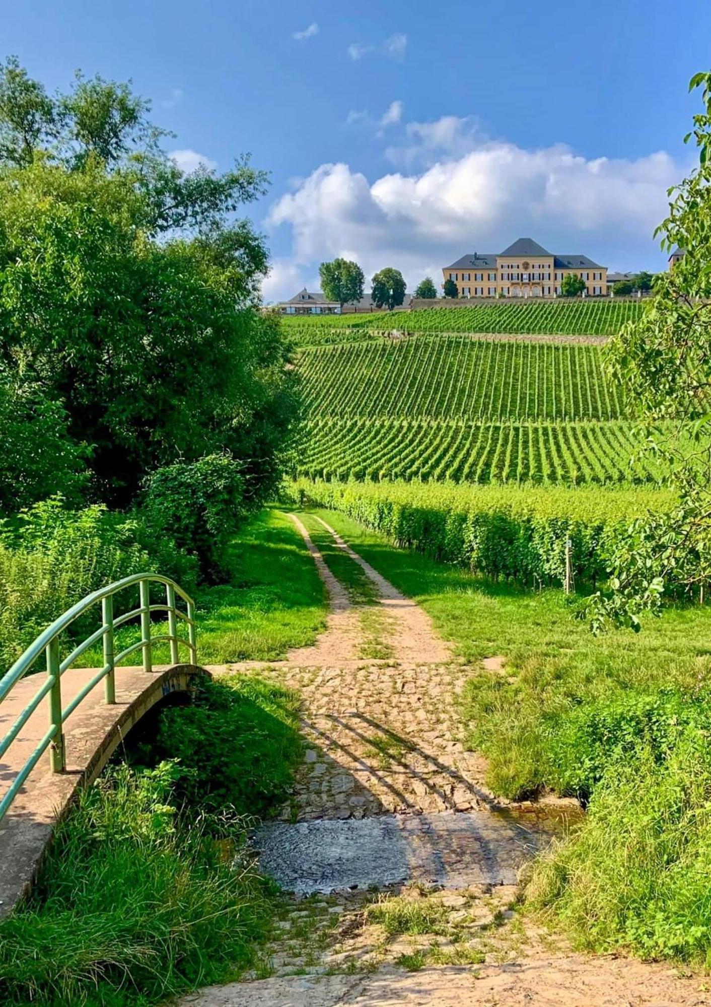 Appartement Gemuetliche In Ortsrandlage Rüdesheim am Rhein